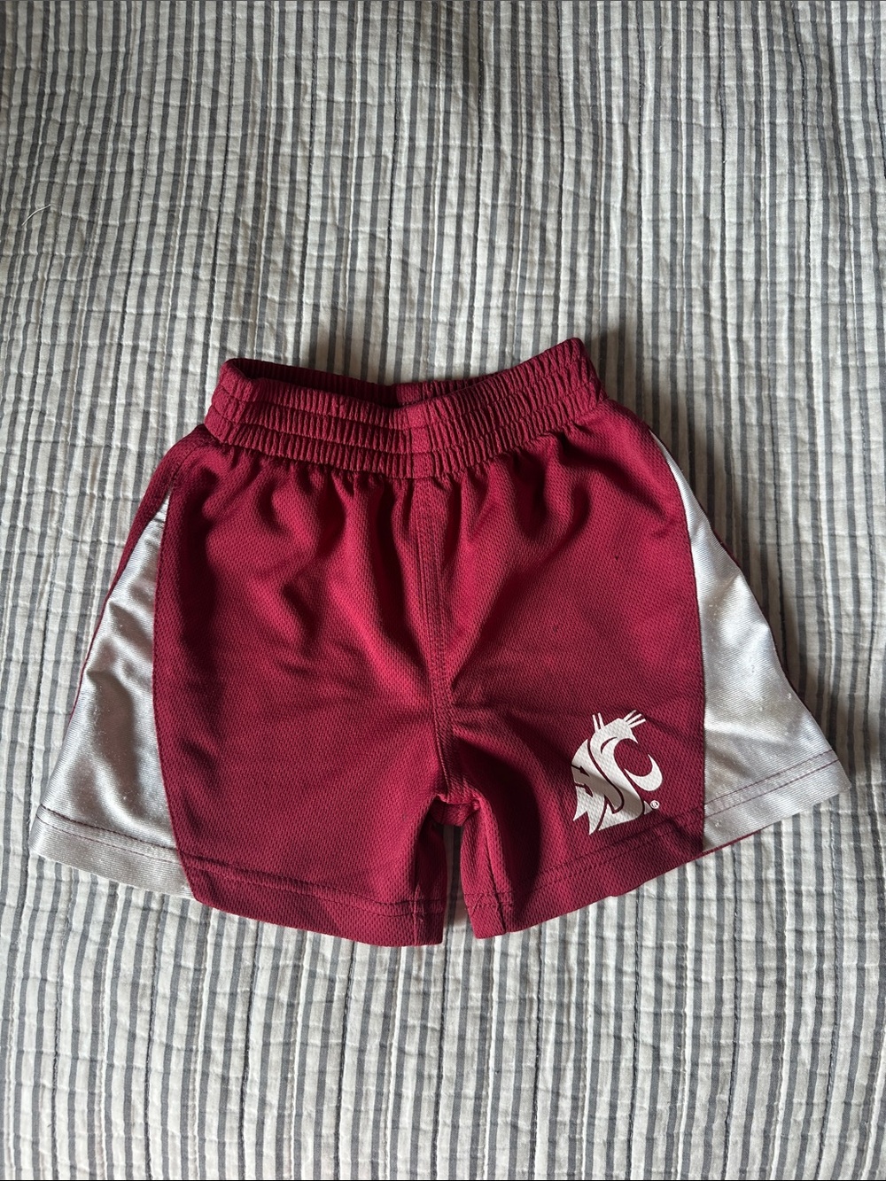 Baby WSU Maroon Athletic Shorts with Silver Accent